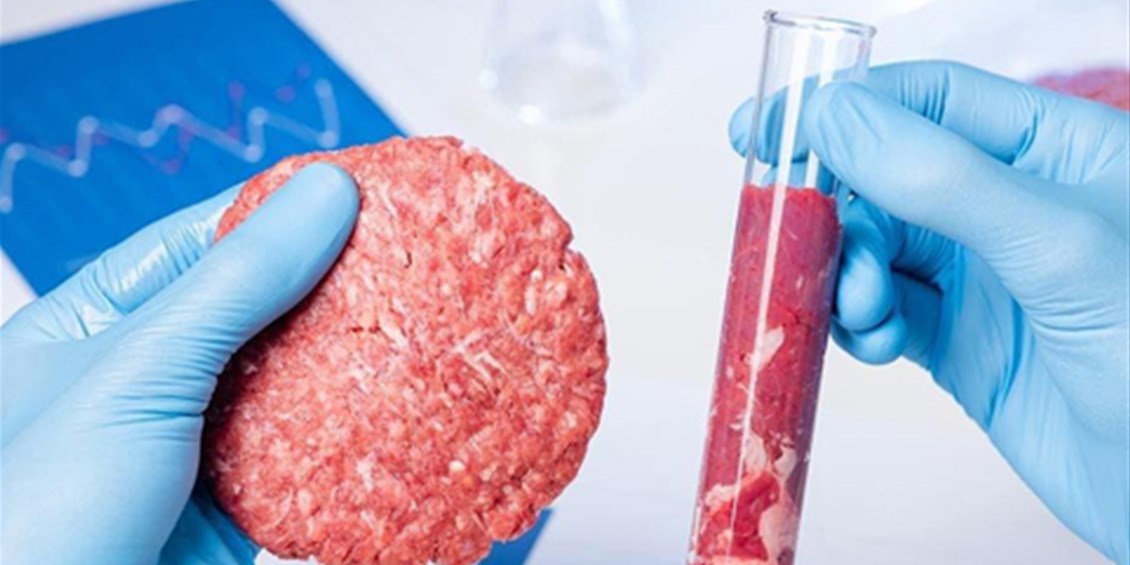 L'Unione Europa approva gli «alimenti inventati dal nulla». La carne sintetica è parte della degenerazione di chi vuole «creare» una umanità assoggettata al Nuovo Ordine Mondiale