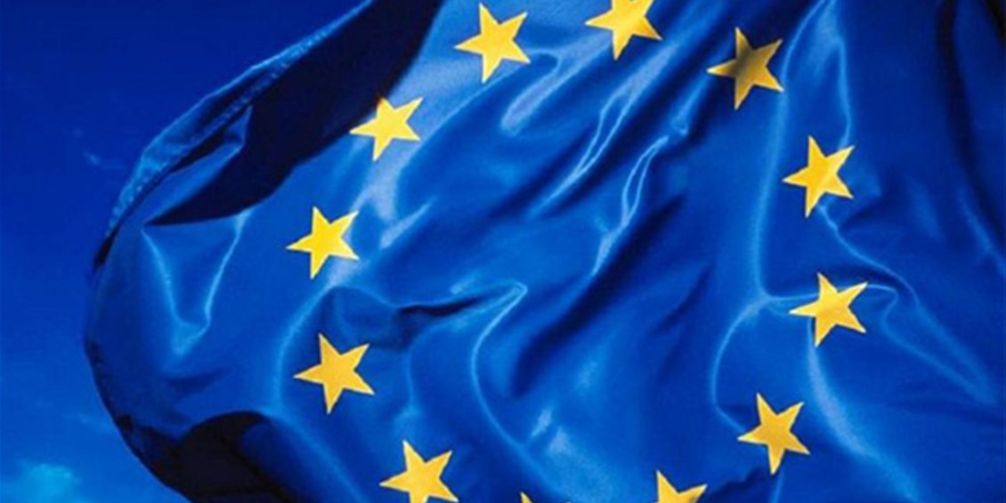 La dichiarazione dell'Unione Europea in cui equipara le vignette al terrorismo