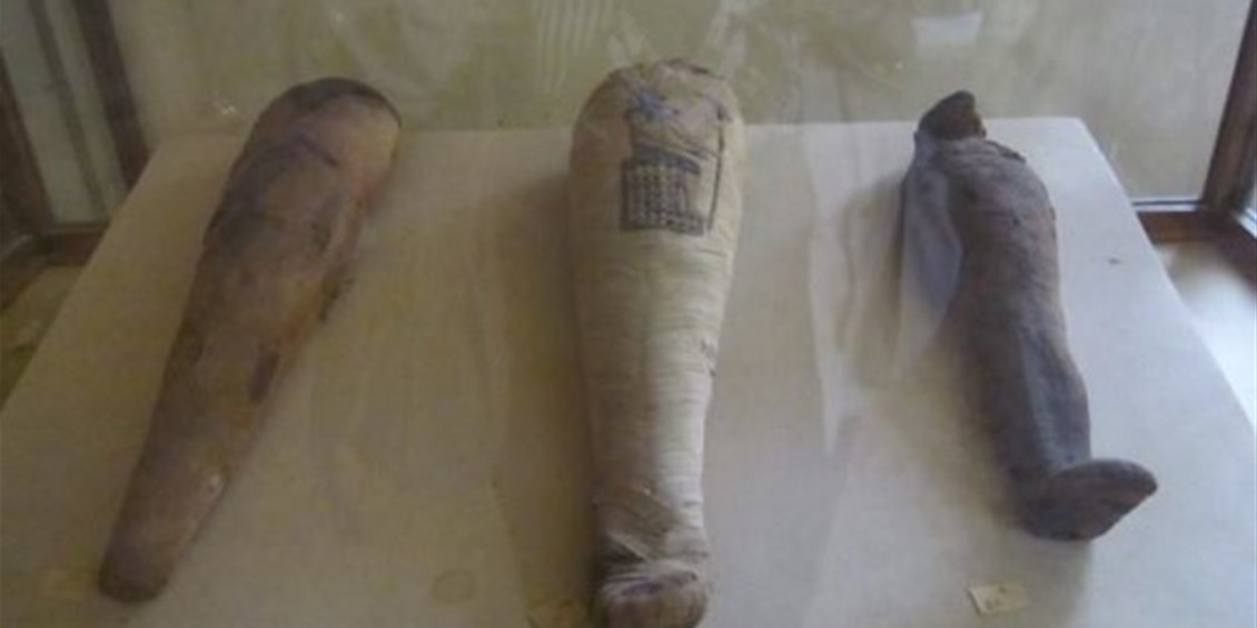 I terroristi dei Fratelli Musulmani devastano il Museo egizio di Al Minya e rubano oltre 1050 reperti archeologici 